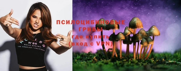 спиды Козловка