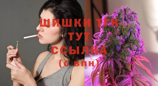 спиды Козловка